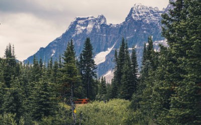 A Complete Guide to Backpacking Tonquin Valley | Jasper National Park